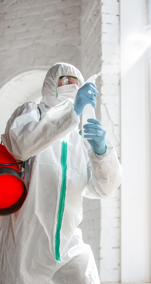 nettoyage après décès à Saint Thibéry près d'Adge dans l'Hérault 34